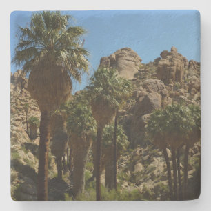 Lost Palms Oasis I vid Joshua Tree National Park Stenunderlägg