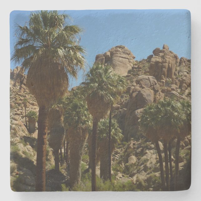 Lost Palms Oasis I vid Joshua Tree National Park Stenunderlägg (Framsidan)