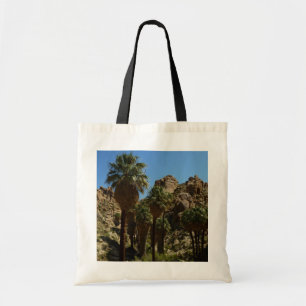 Lost Palms Oasis I vid Joshua Tree National Park Tygkasse