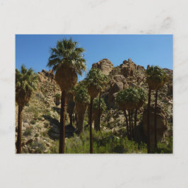 Lost Palms Oasis I vid Joshua Tree National Park Vykort