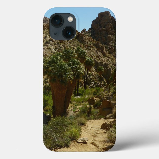Lost Palms Oasis II vid Joshua Tree National Park (Baksida)