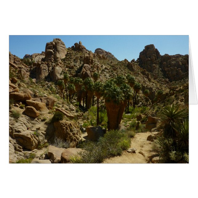 Lost Palms Oasis II vid Joshua Tree National Park Hälsningskort (Framsidan Horizontal)