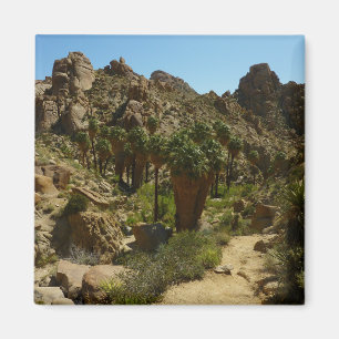 Lost Palms Oasis II vid Joshua Tree National Park Magnet