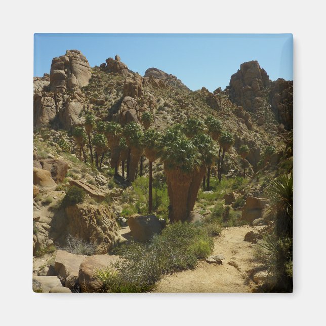 Lost Palms Oasis II vid Joshua Tree National Park Magnet (Framsidan)