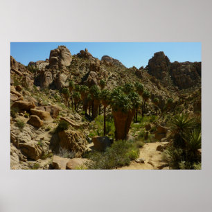 Lost Palms Oasis II vid Joshua Tree National Park Poster