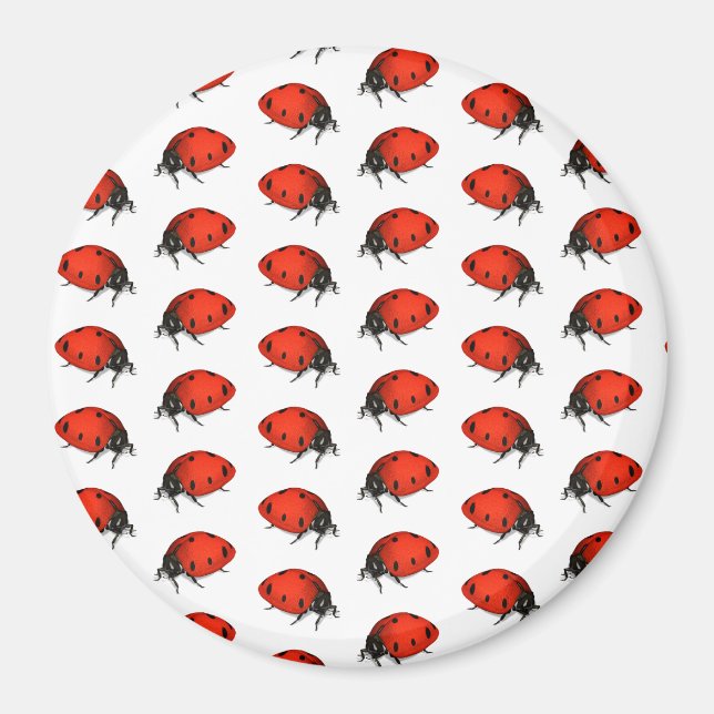 Lot av ladybugs magnet (Framsidan)