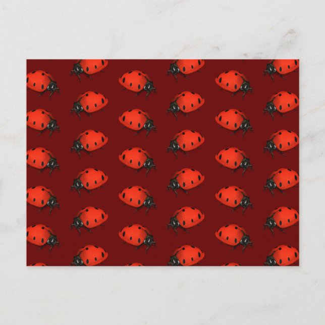 Lot av ladybugs vykort (Framsida)