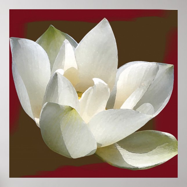 lotus1 poster (Framsidan)