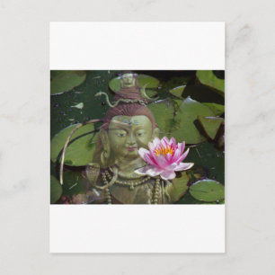 Lotus 1 & Buddha Vykort