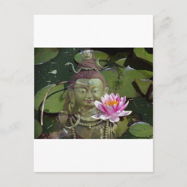 Lotus 1 & Buddha Vykort (Framsida)
