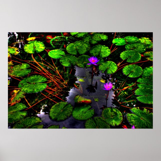 Lotus 1 poster (Framsidan)