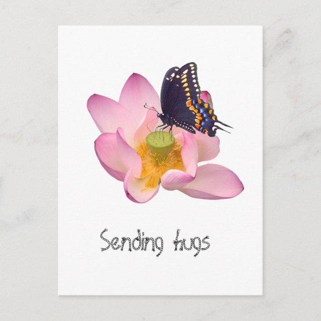Lotus and butterfly vykort (Framsida)