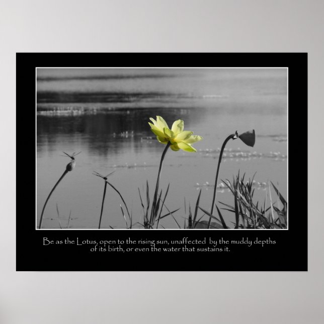Lotus and Dragonflies Motivational Poster (Framsidan)