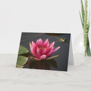 Lotus-blomma med groda kort