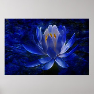 Lotus blomma och dess innebörd poster