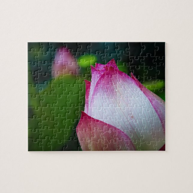 Lotus-blomman - Puzzles Pussel (Horisontell)