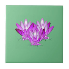 Lotus blommar rosa på havets grönt kakelplatta