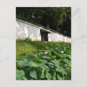 Lotus blommor i Temple Moat Vykort