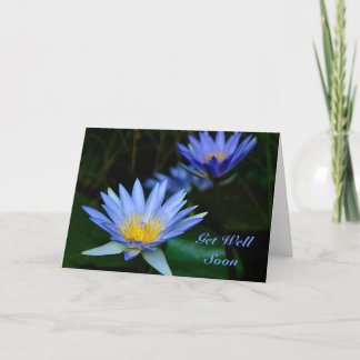 Lotus blommor kommer snart kort