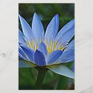 Lotus blommor och innebörd