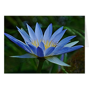 Lotus blommor och innebörd hälsningskort