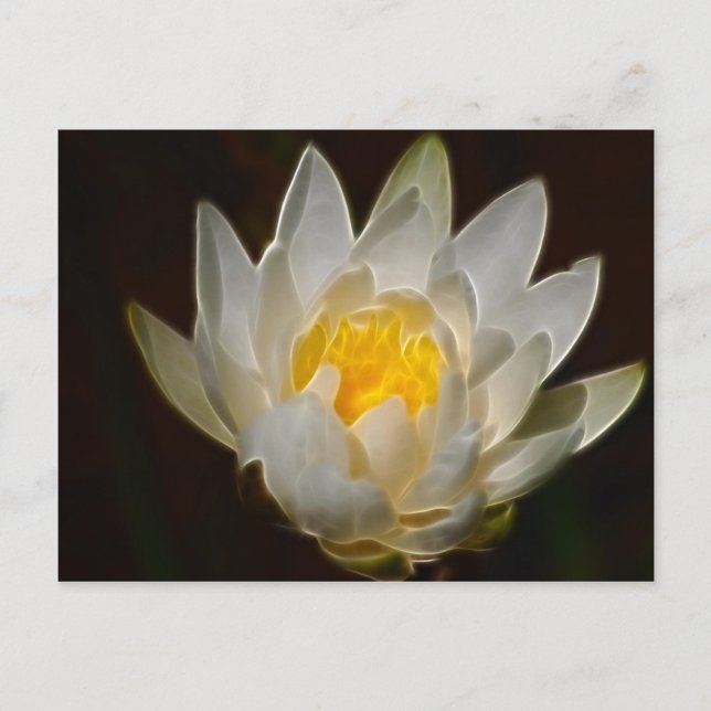 Lotus blommor och innebörd vykort (Framsida)