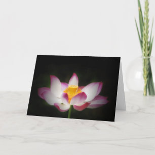Lotus Blomsterfotografi Underbar Yoga om Gift!L Kort