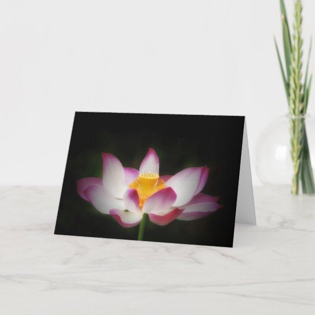 Lotus Blomsterfotografi Underbar Yoga om Gift!L Kort (Framsida)