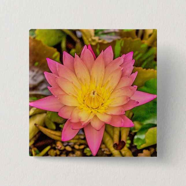 Lotus-Blume Knapp (Framsida)