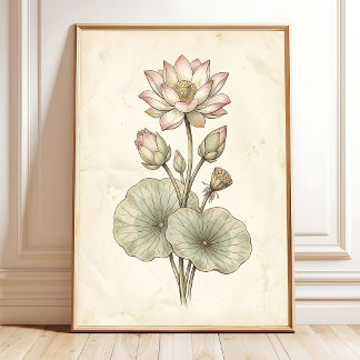 Lotus Botanical Farmhouse Canvastryck Poster