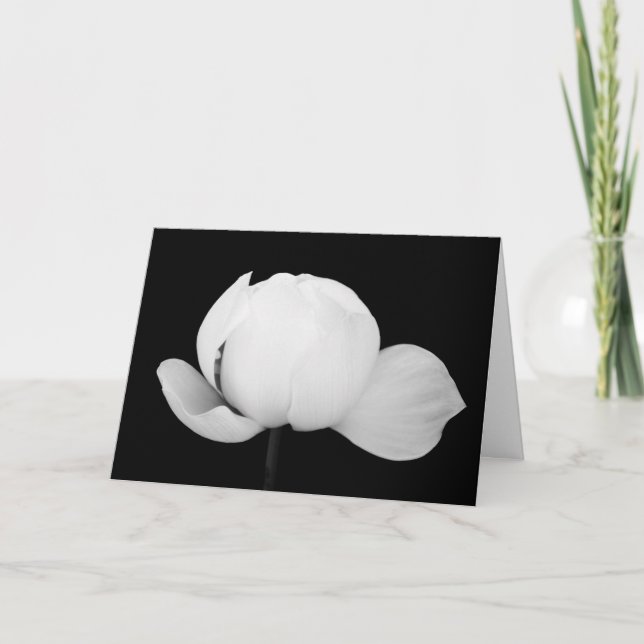 Lotus Bud Kort (Framsida)