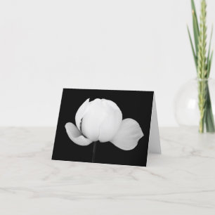 Lotus Bud Tack Kort