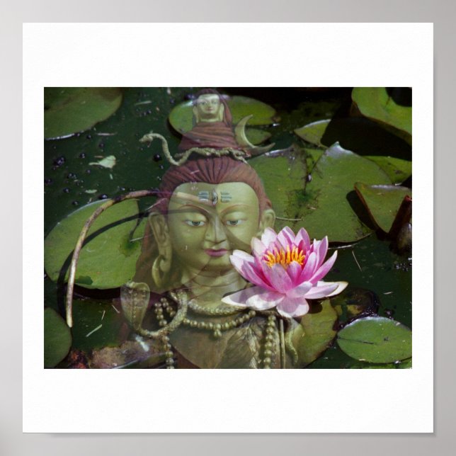 Lotus & Buddha Poster (Framsidan)