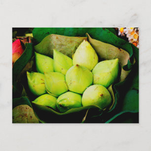 Lotus buds vykort