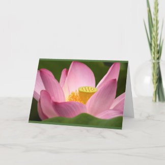 Lotus Card Kort