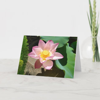 Lotus Card Tack Kort