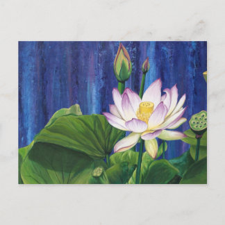 Lotus Dream Postcard Vykort