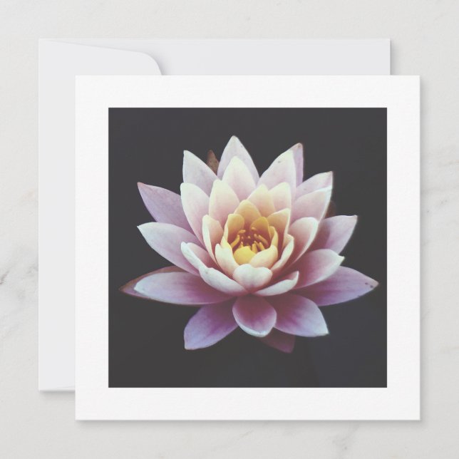 LOTUS FLAT-kort (Framsida)