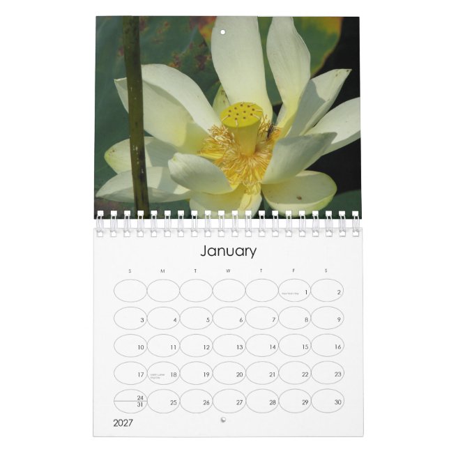 Lotus Flower 2008 Kalender (Jan 2027)