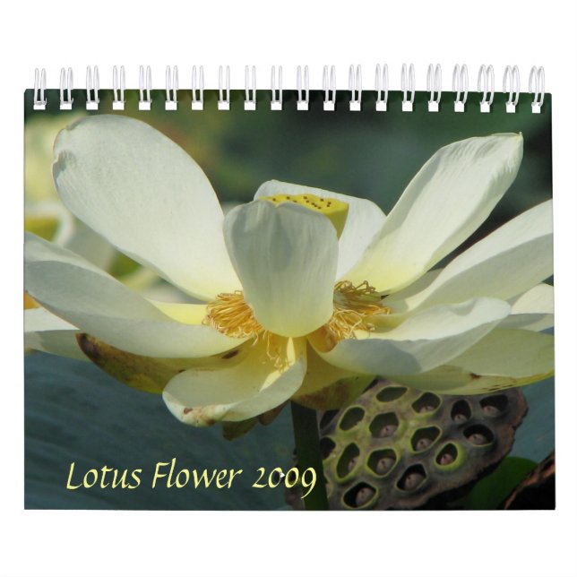 Lotus Flower 2009 Kalender (Omslag)