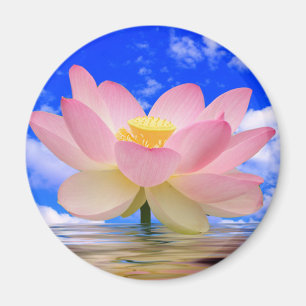 Lotus Flower Born i Vatten Magnet