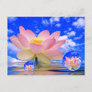 Lotus Flower Born i Vatten Vykort