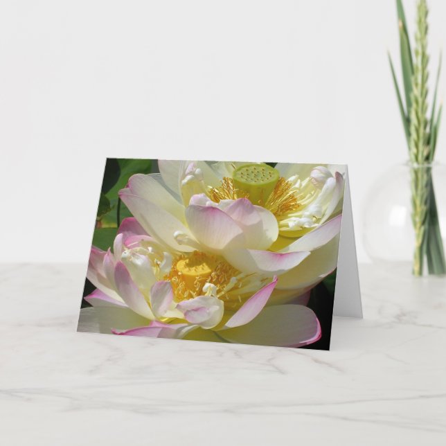 Lotus Flower Duet Kort (Framsida)
