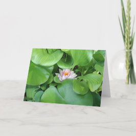 Lotus Flower-Folttagande-kort Kort