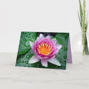 Lotus Flower Kort