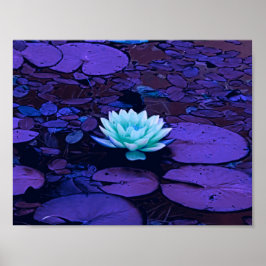 Lotus Flower Lila Blue Turkvoise Blommigt Pond Zen Poster