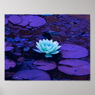 Lotus Flower Lila Blue Turkvoise Blommigt Pond Zen Poster