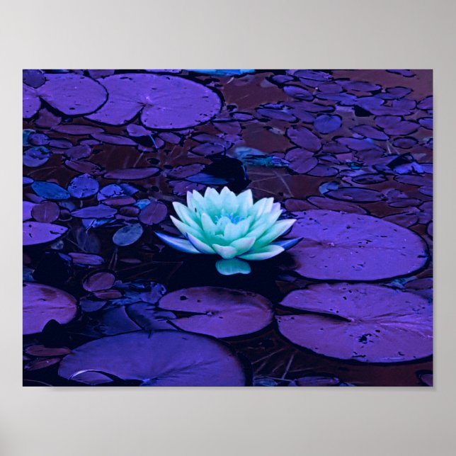 Lotus Flower Lila Blue Turkvoise Blommigt Pond Zen Poster (Framsidan)