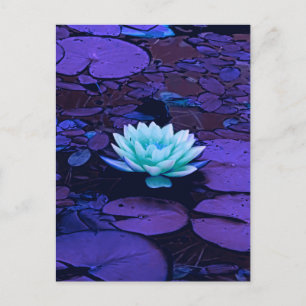 Lotus Flower Lila Blue Turkvoise Blommigt Pond Zen Vykort