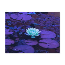 Lotus Flower Lila Blue Turkvoise Blommigt Pond Zen